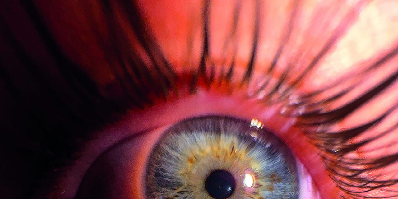 „Knipst Du noch oder fotografierst du schon?“