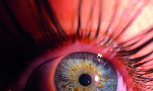 „Knipst Du noch oder fotografierst du schon?“