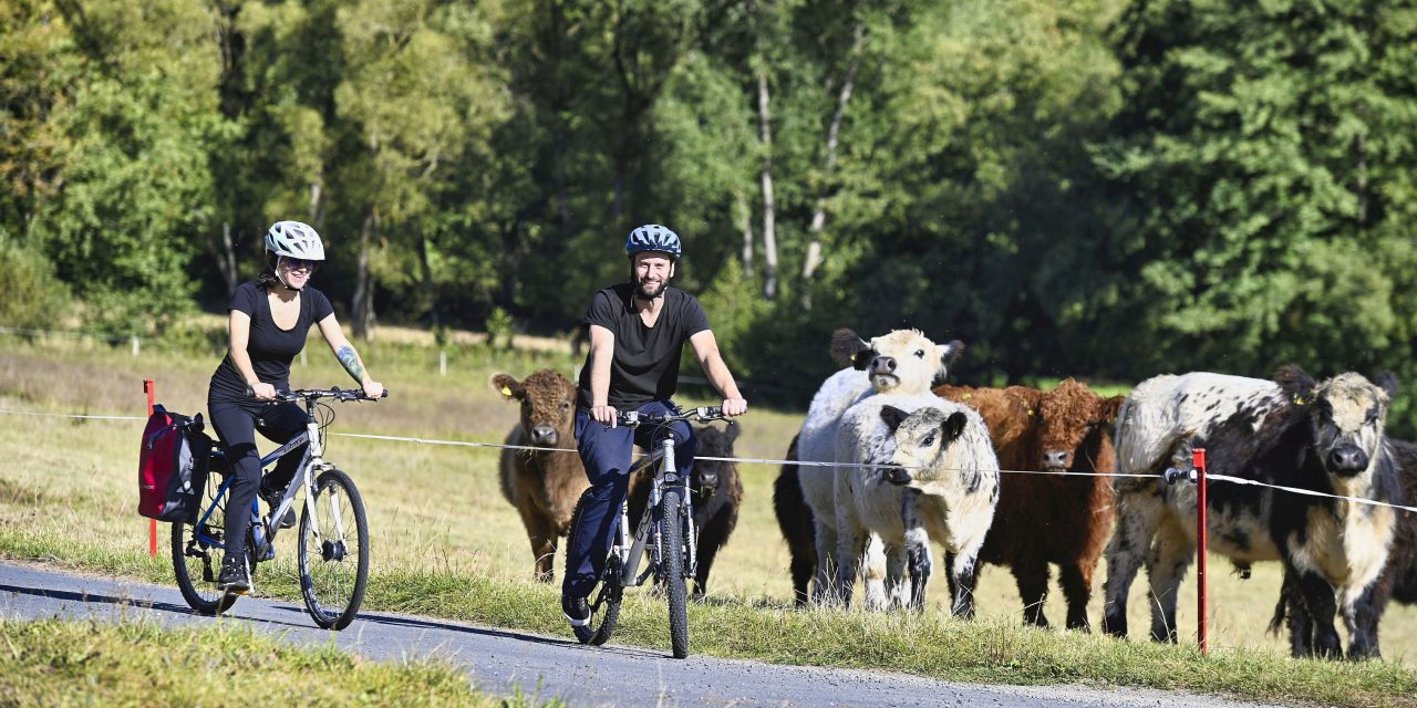 Stadtradeln geht in die nächste Runde