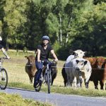 Stadtradeln geht in die nächste Runde