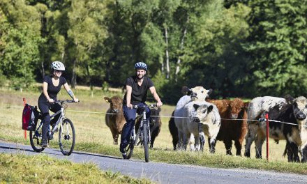 Stadtradeln geht in die nächste Runde