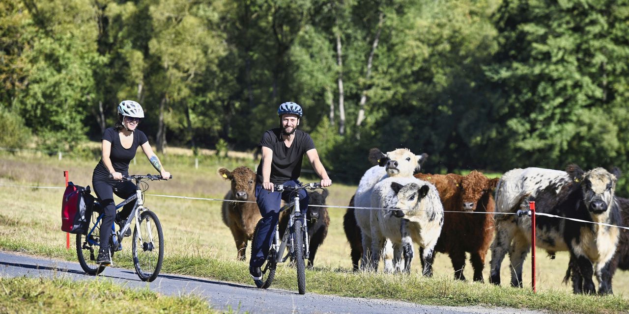 Stadtradeln 2025