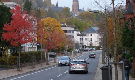 Baumtod am Straßenrand