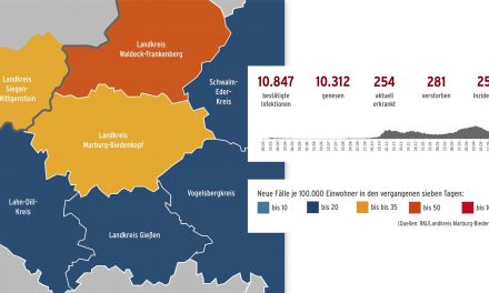 Corona im Landkreis – Stand 8. Juni