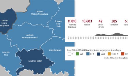 CORONA IM LANDKREIS