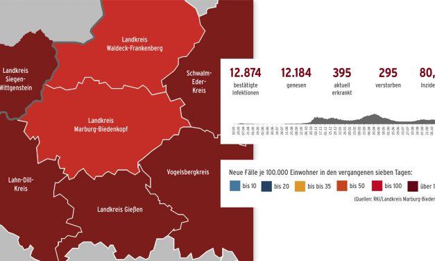 Corona im Landkreis