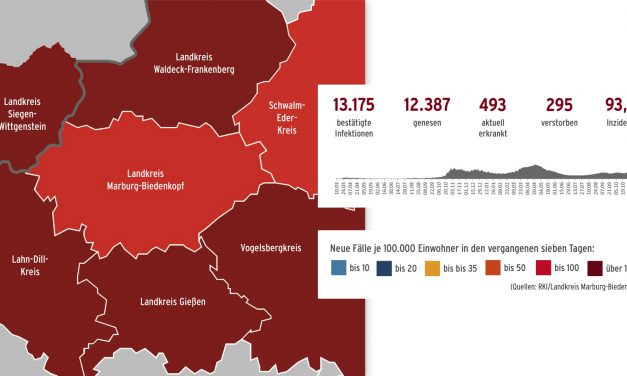 Corona im Landkreis
