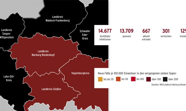 Corona im Landkreis