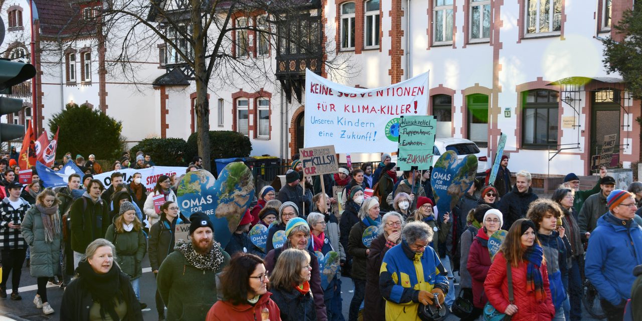 Klimastreik am 1. März