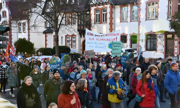 Klimastreik am 1. März