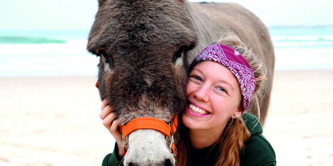 Mit dem Esel über die Alpen