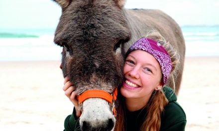 Mit dem Esel über die Alpen