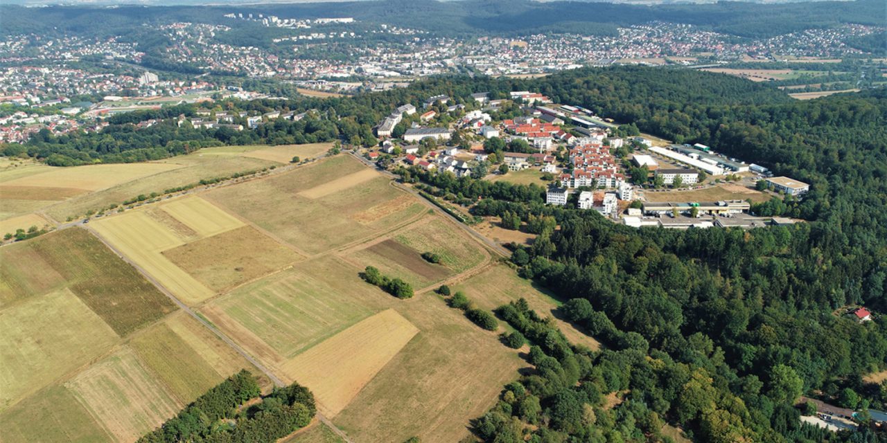 Gutachten zur Vogelwelt am Hasenkopf