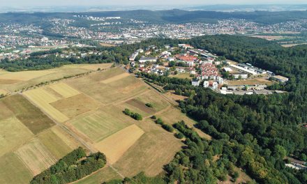 Gutachten zur Vogelwelt am Hasenkopf