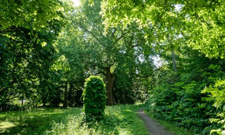 Marburg wird wieder Drehort