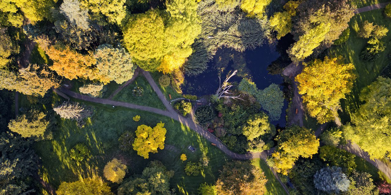 Pläne für Alten Botanischen Garten weiter in Kritik