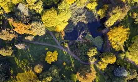 Pläne für Alten Botanischen Garten weiter in Kritik