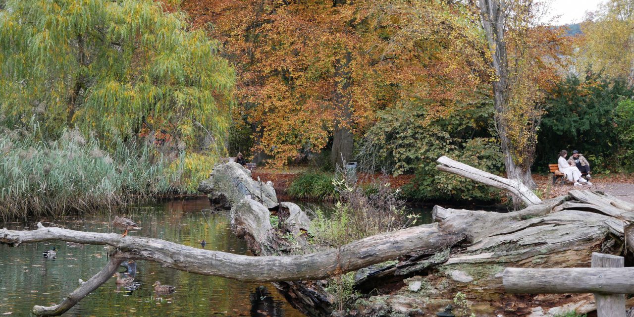 Botanischer Garten in Gießen geschlossen