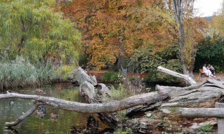 Botanischer Garten in Gießen geschlossen
