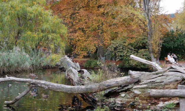 Botanischer Garten in Gießen geschlossen