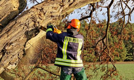 Sturm-Bilanz: 178 Einsätze für Freiwillige Feuerwehren