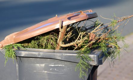 Warum die Biotonne bald stehen bleiben könnte