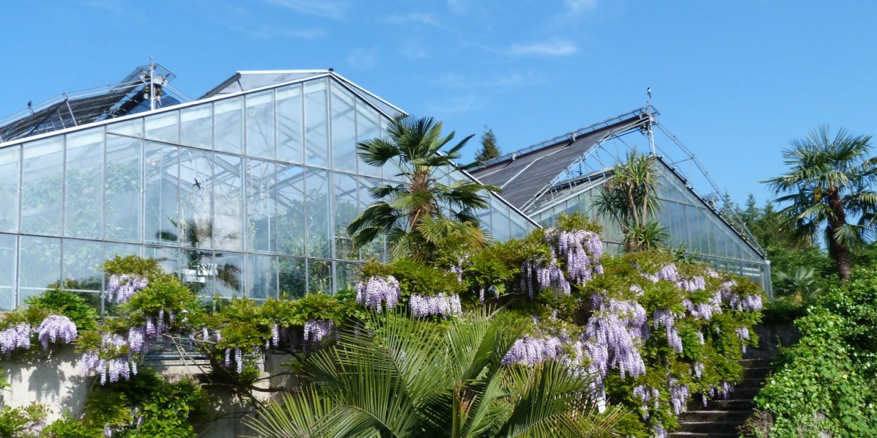 Botanischer Garten braucht Spenden