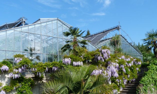 Botanischer Garten braucht Spenden