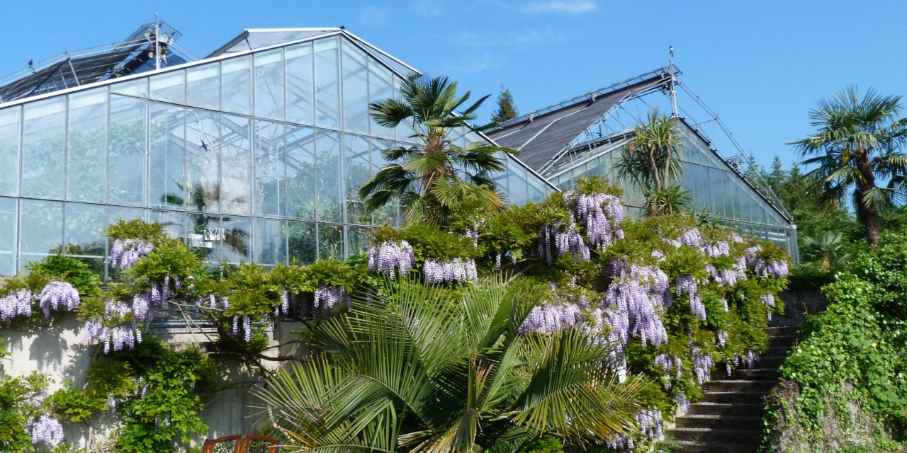 Update für die Glashäuser