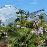 Update für die Glashäuser