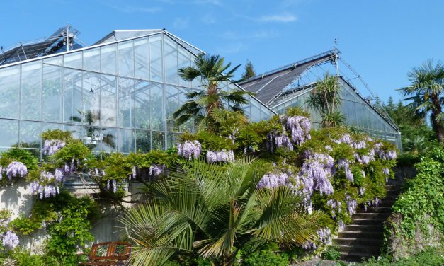 Update für die Glashäuser