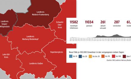 Corona im Landkreis