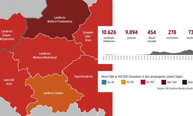 Corona im Landkreis – Stand 25. Mai