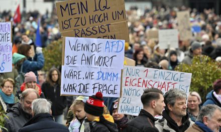 Aktionstag „Gemeinsam für ein AfD-Verbot“