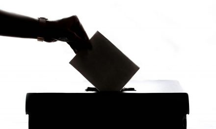 „Daseinsvorsorge und Demokratie“