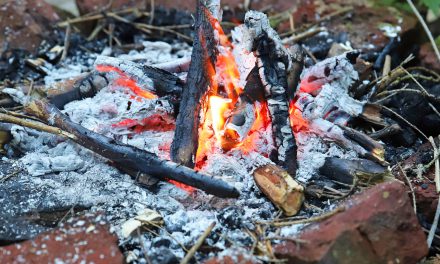 Grillverbot in Grünanlagen & auf Grillplätzen