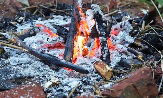 Grillverbot in Grünanlagen & auf Grillplätzen