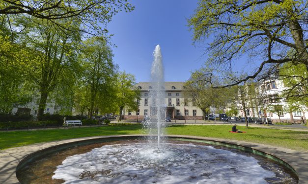 Unterwegs mit Archiveule Eulalia