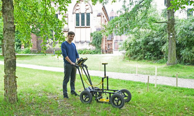 Baumwurzeln aufspüren mit Geo-Radar
