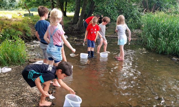 Von Würmern, Schafen und der Kelterei