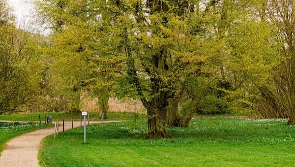 „Verweilort Hexenbesen“