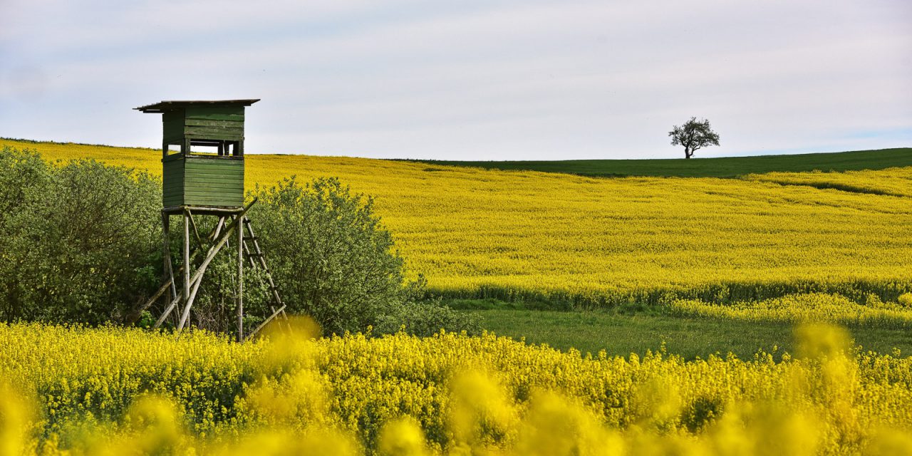 Marburger Fototage starten