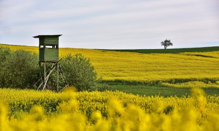 Marburger Fototage starten