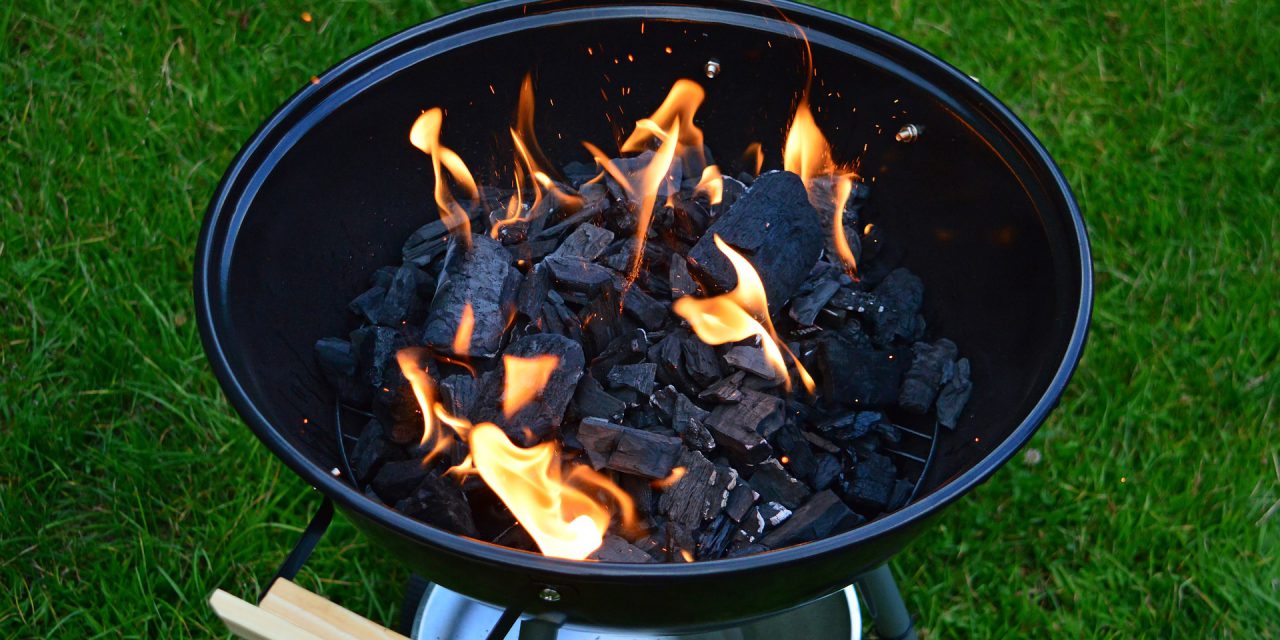 Grillverbot im Park und auf den Lahnwiesen