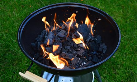 Brandgefahr: Marburg verbietet Grillen in Parks