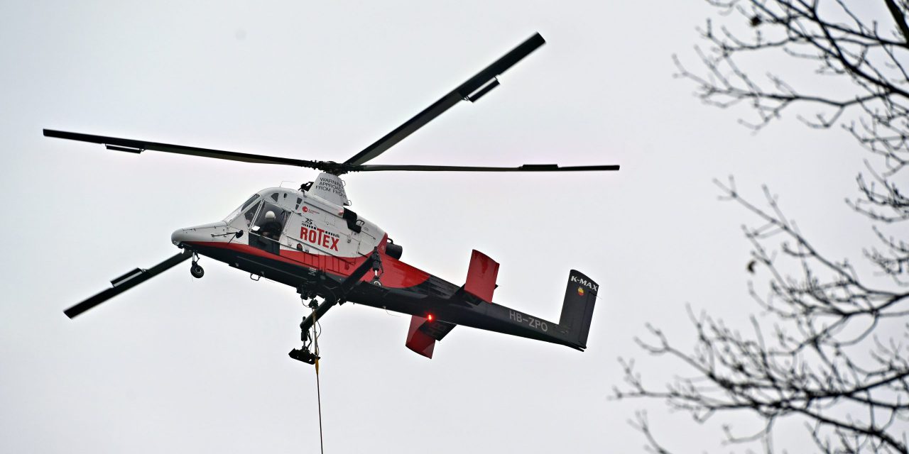 Fliegende Bäume in Marburg