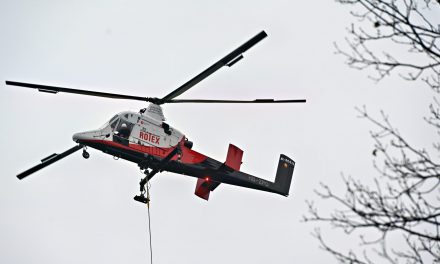 Fliegende Bäume in Marburg