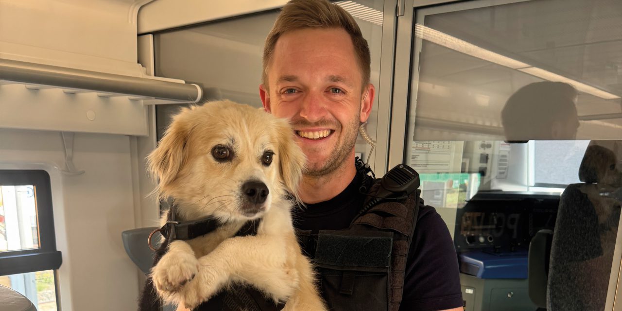 Ausgebüxter Hund fährt allein Zug