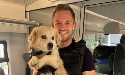 Ausgebüxter Hund fährt allein Zug