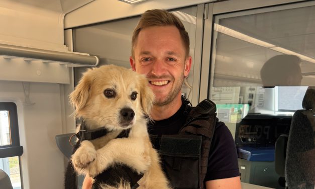Ausgebüxter Hund fährt allein Zug